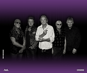Deep Purple 300