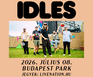  IDLES 300x250