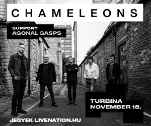 Chameleons 300x250 Chameleons 300x250